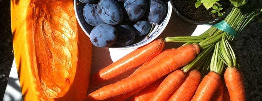 Vegan Cooking in Belgrade, Serbia –  An Idyllic Summer