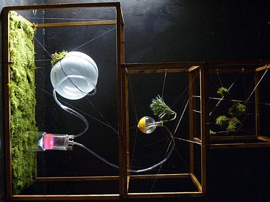 The Waldorf Project: Chapter One: Muskmelon – Art & Food Festival London