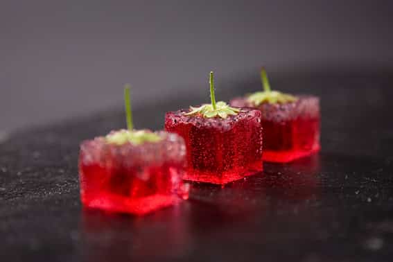 Molecular Gastronomy – Fad or Revolution?