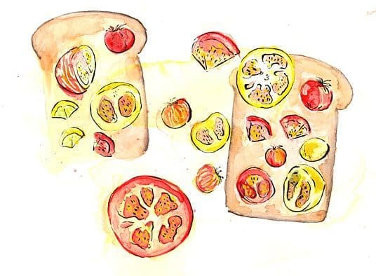 illustrations