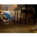 princess culture, art by Thomas Czarnecki