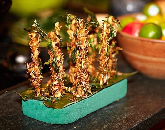 Eat Grub: Experience the culinary delights of edible insects and worms