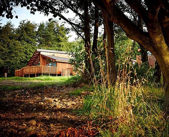 Forest Holidays – Luxury getaway deep in the woods
