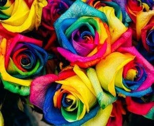 rainbow Decor