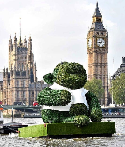 Giant Green Tea Monkey seen floating down the Thames