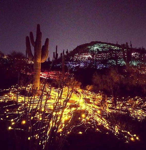 The New Phoenicians – Phoenix Arizona and the valley of the sun