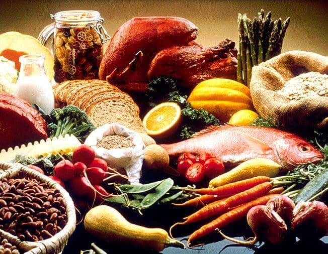 The importance of nutrition to our health in our daily lives