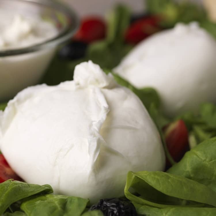 Meet Obicà, Britain’s first mozzarella bar