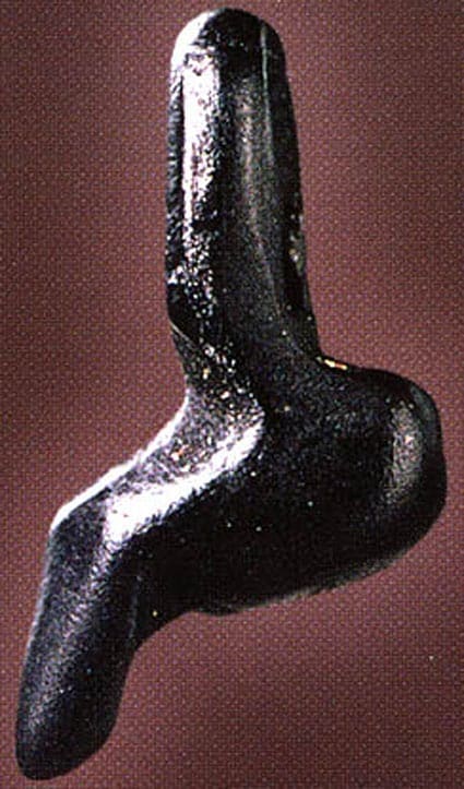 Bottoms-Web-1
