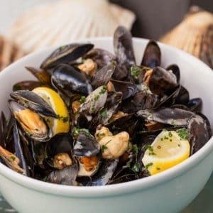mussel