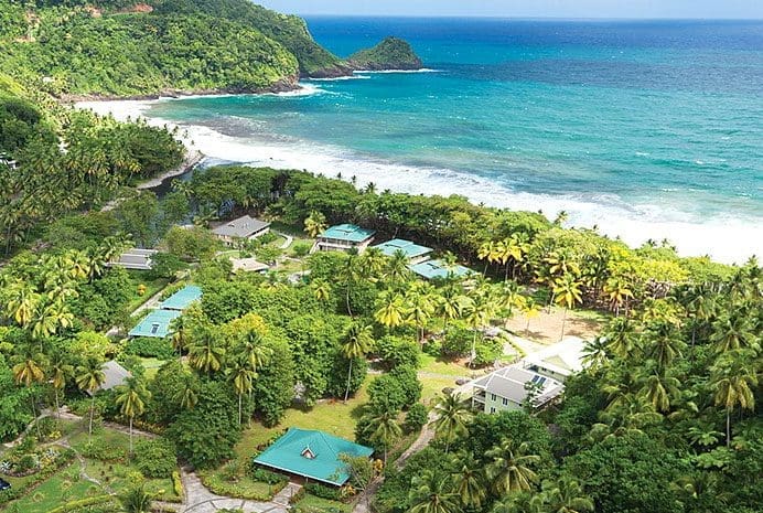 Dominica-Web-3