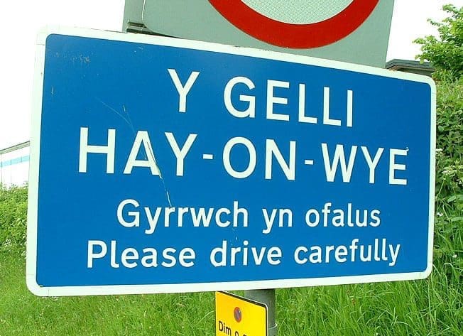 Is it always right to save a dying language?