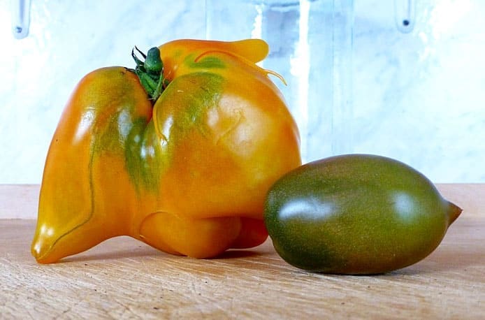 latest food trends