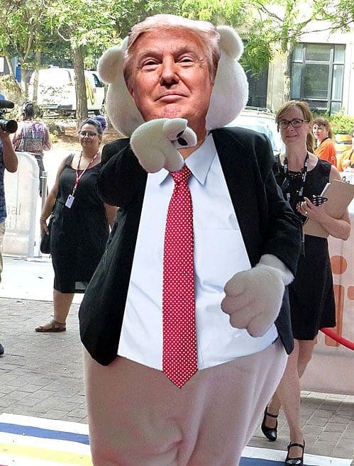 teddy trump