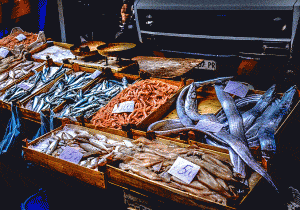 seafood heaven