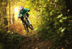 Bike off road