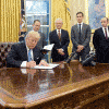 drain the swamp