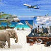 travel cash