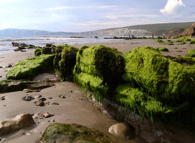 Hidden secrets of the Isle of Wight