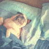 Improve your sleep
