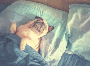 Improve your sleep