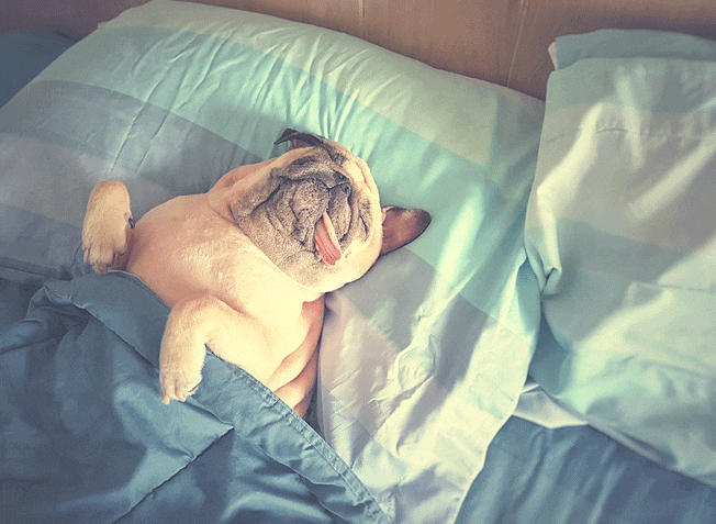 Improve your sleep pattern during the summer