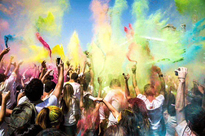 Essential guide for a festival planner