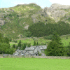 craft beer