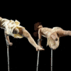 arts for the disabled