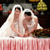 gay wedding