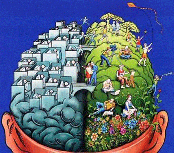 brain games