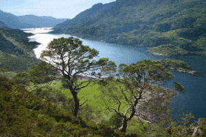 remote locations