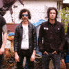 Turbowolf