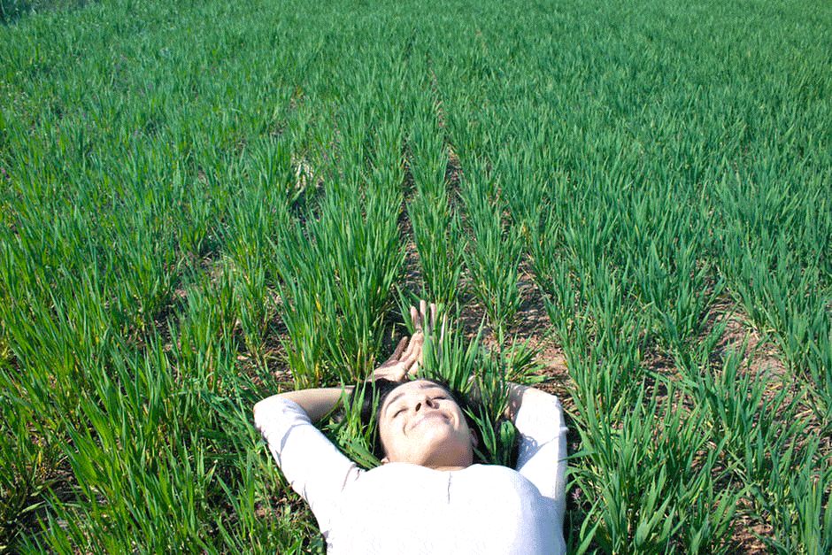 Why we all need sleep and how to get more of it