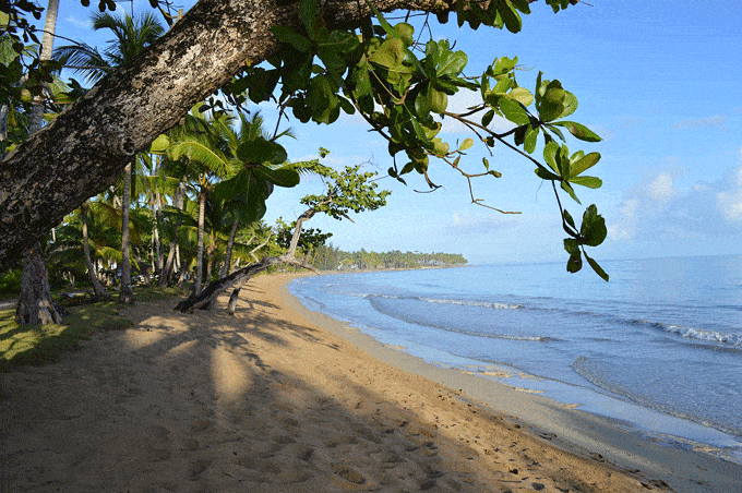 Why the Caribbean is the place to be an entrepreneur?
