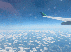 flight is delayed