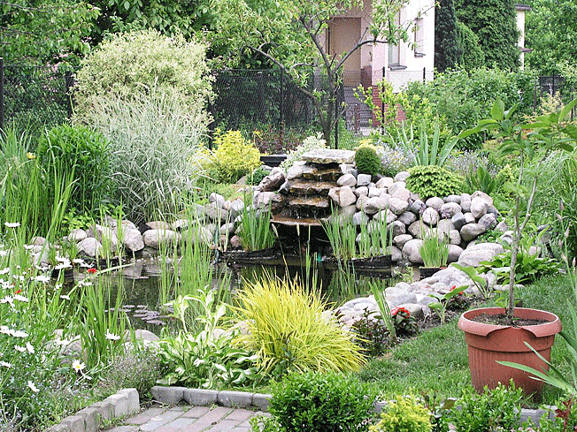 5 things to include when redesigning your garden
