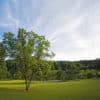 move to Northern Virginia