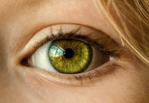 Take Care of Your Eyesight
