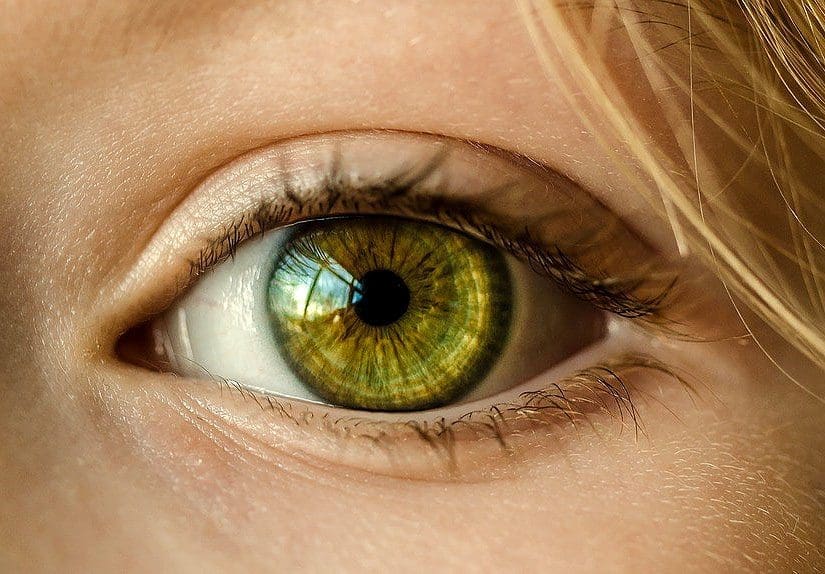 How to take care of your eyesight in four simple steps