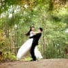 wedding plans