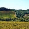 Sonoma County