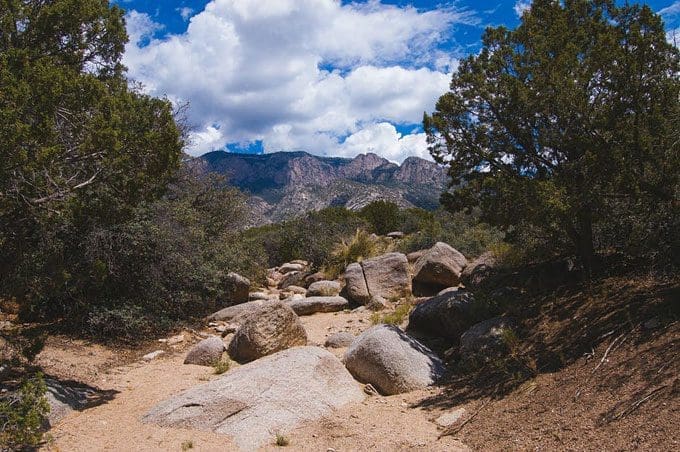 Awesome things to do in Albuquerque