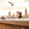 London on a budget