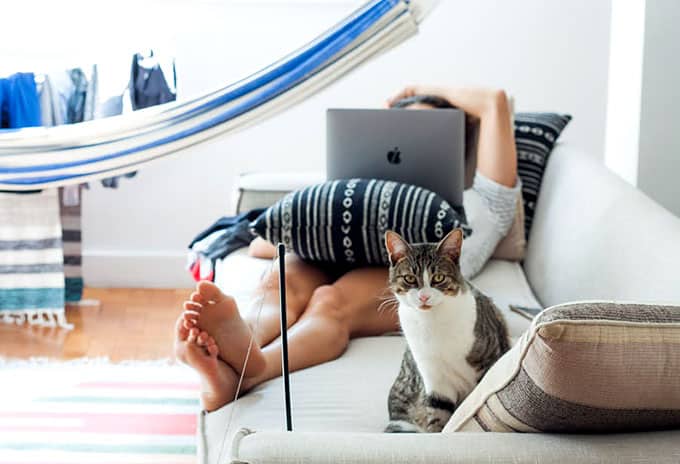 Tips for preparing your home for a pet