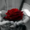 express your love
