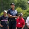 tiger cool