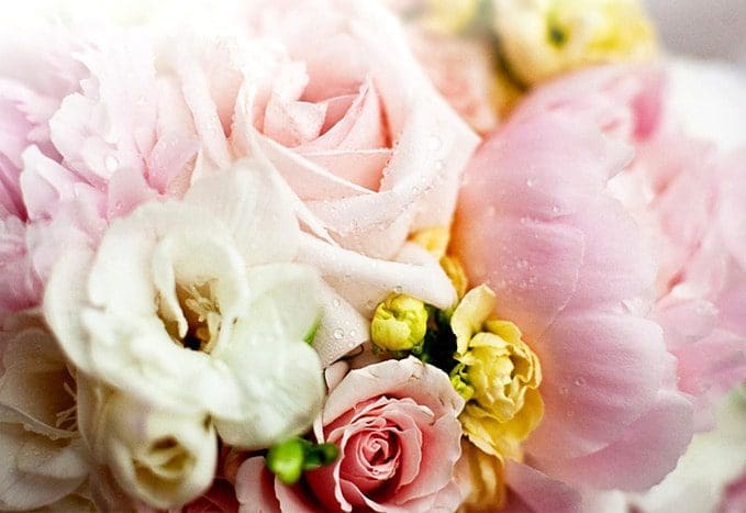 buying flowers