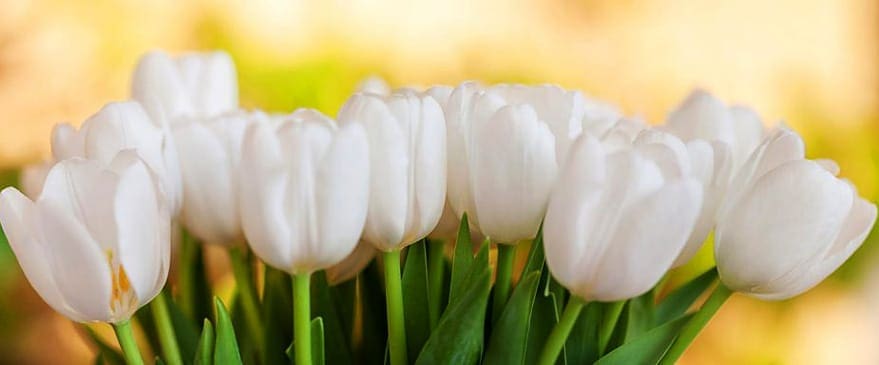 creative flowers