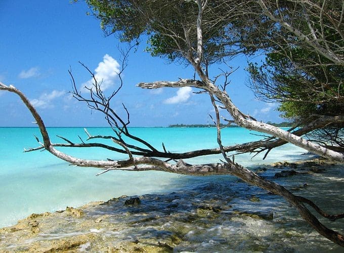 wild beach